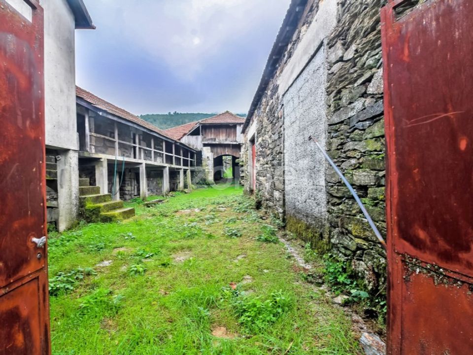 Farm i Montalegre, Vila Real - foto 1