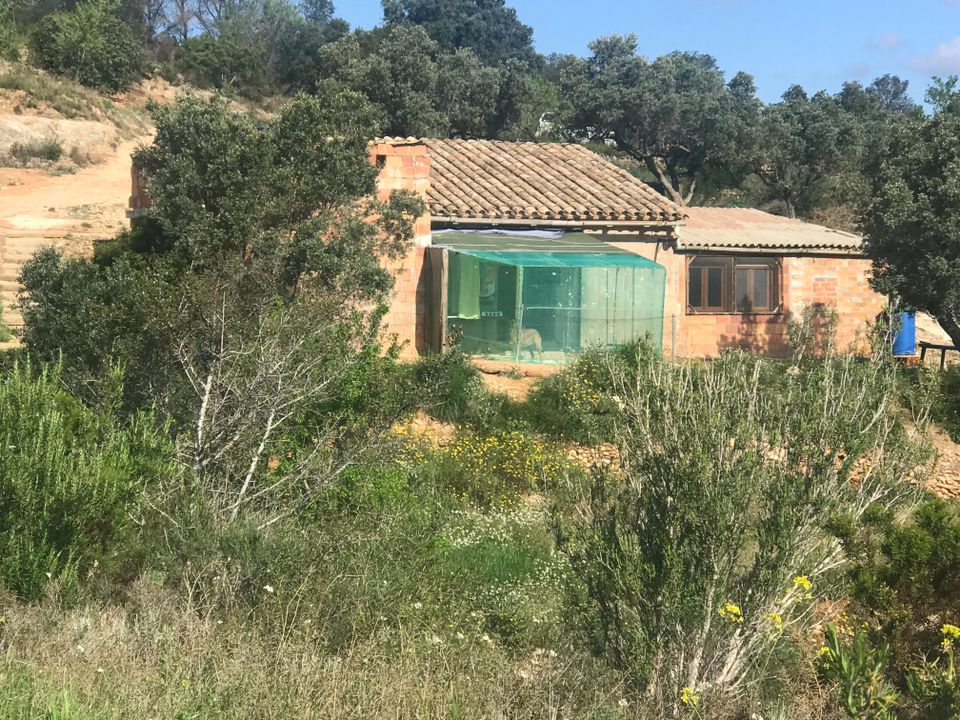 Finca i Miravet, Tarragona - foto 1