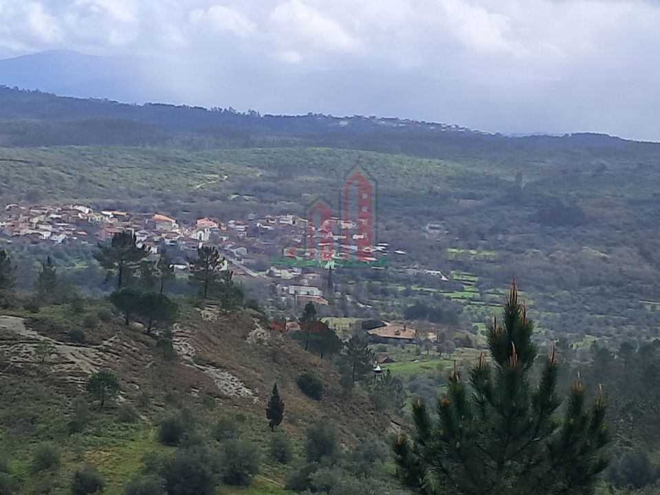 Villa i Condeixa-a-Nova, Coimbra - foto 2