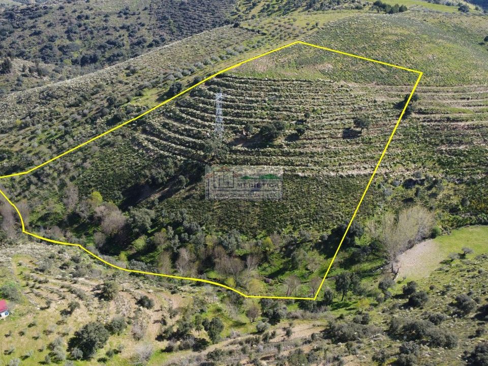 Farm i Alfandega da Fe, Braganca - foto 1