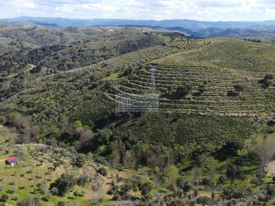 Farm i Alfandega da Fe, Braganca - foto 2