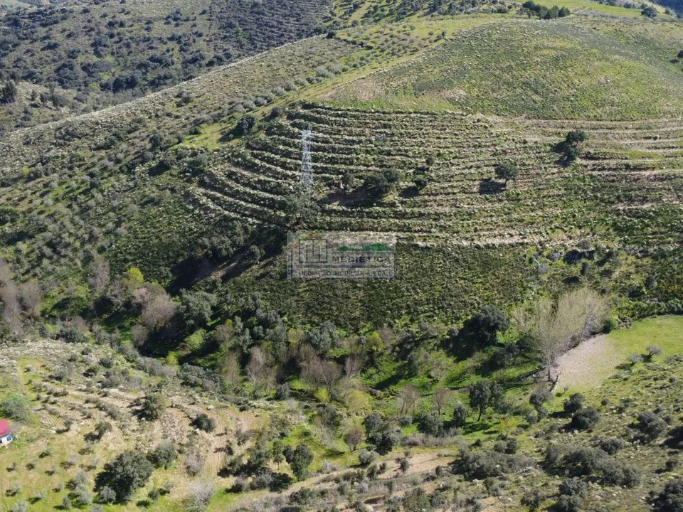 Farm i Alfandega da Fe, Braganca - foto 3