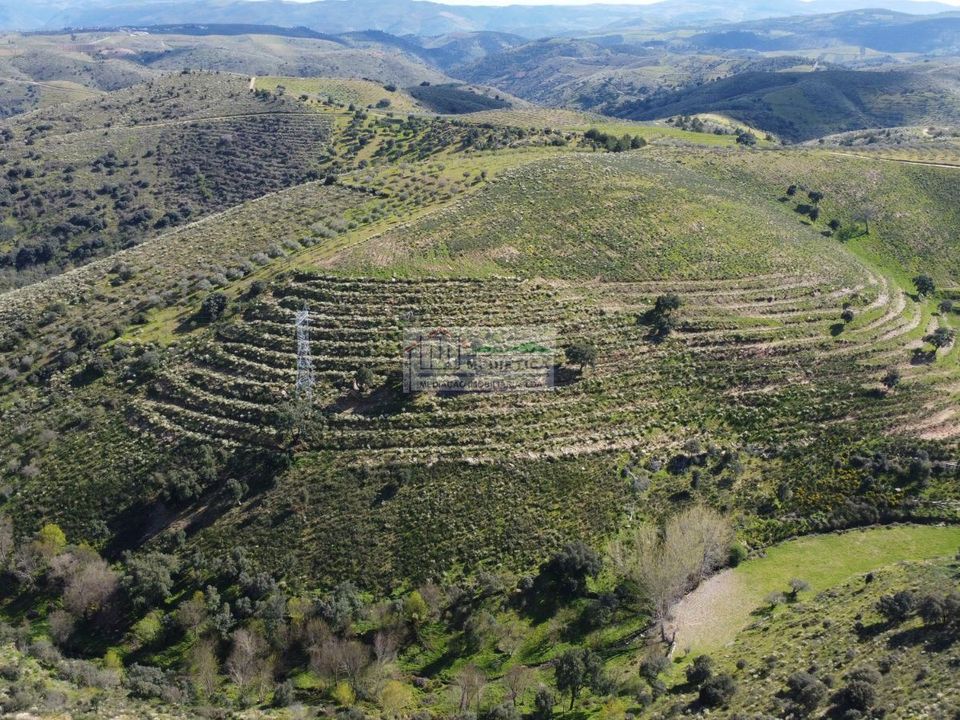 Farm i Alfandega da Fe, Braganca - foto 4