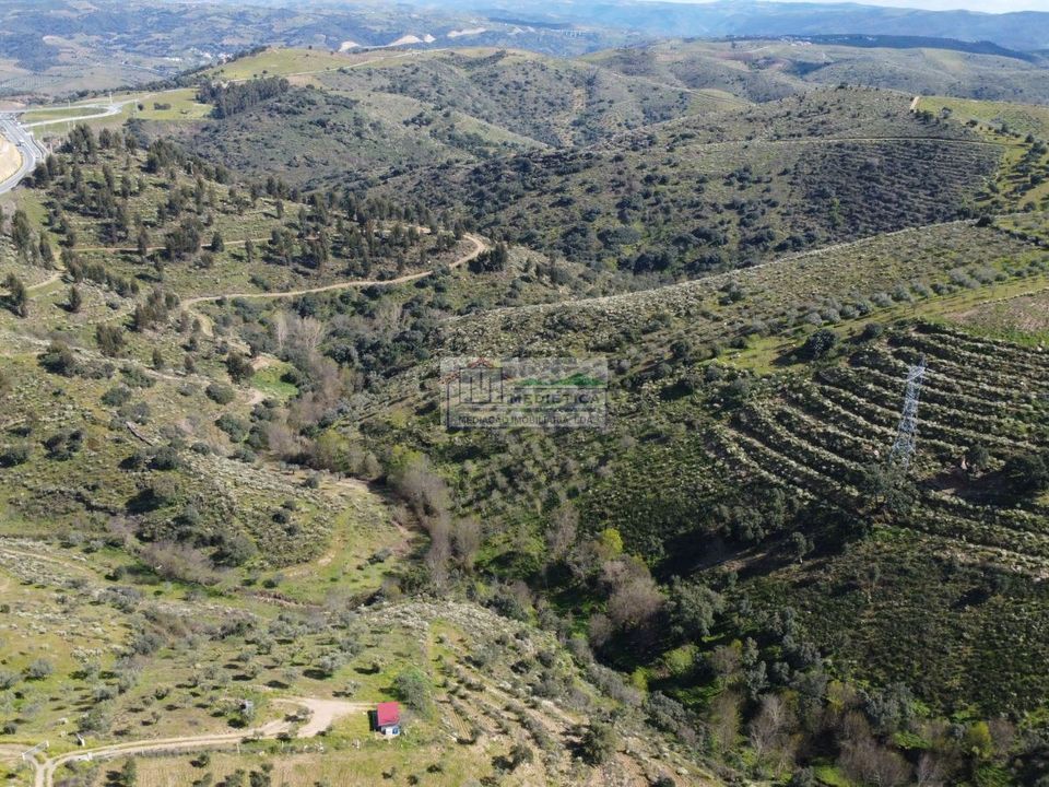 Farm i Alfandega da Fe, Braganca - foto 5