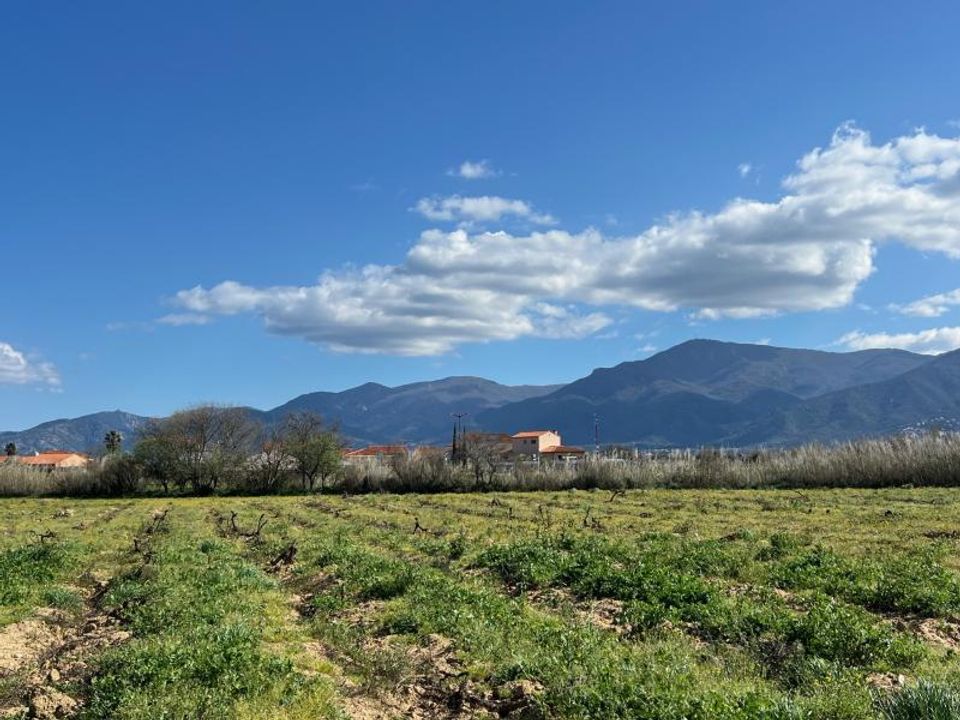 Helårsgrund i Brouilla, Pyrenees-Orientales - foto 1
