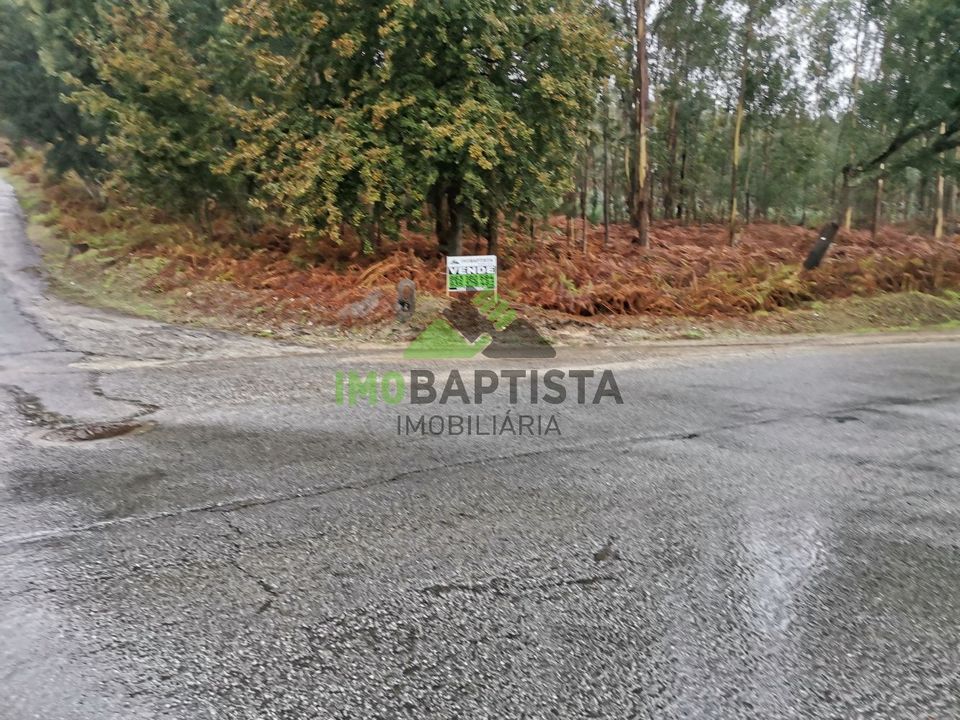 Helårsgrund i Santa Maria da Feira, Aveiro - foto 3