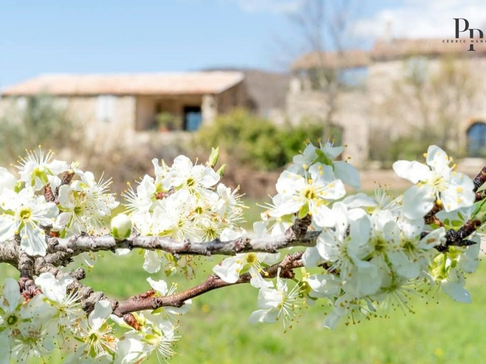 Villa i Viens, Vaucluse - foto 4