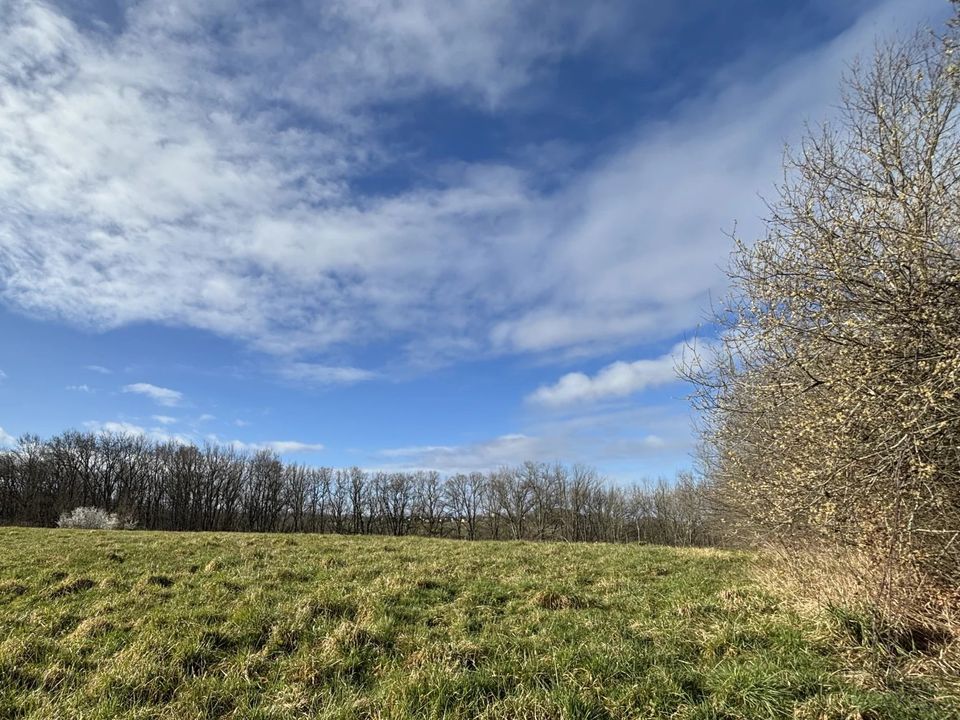 Terra a Tarbes, Hautes-Pyrenees - foto 3