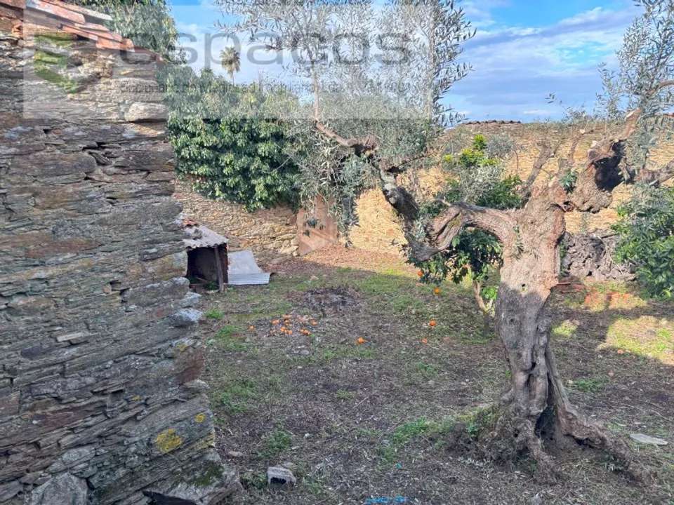 Casa de campo en Vila Velha de Rodao, Castelo Branco - foto 1
