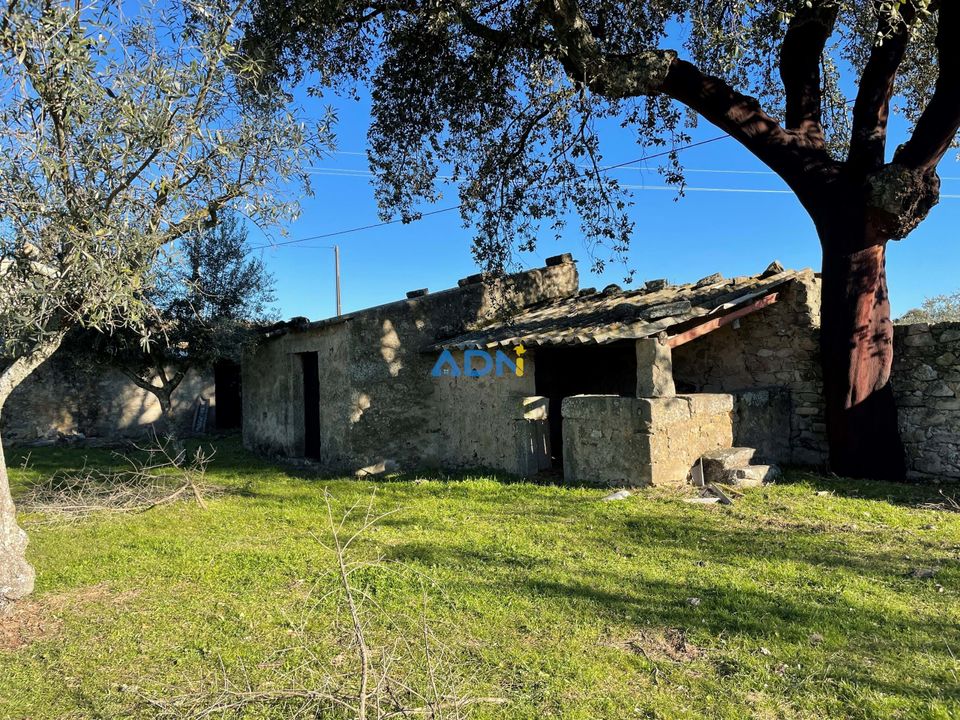 Masia a Alcains, Castelo Branco - foto 3