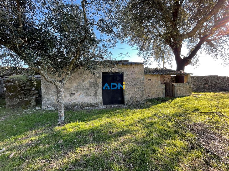 Masia a Alcains, Castelo Branco - foto 4