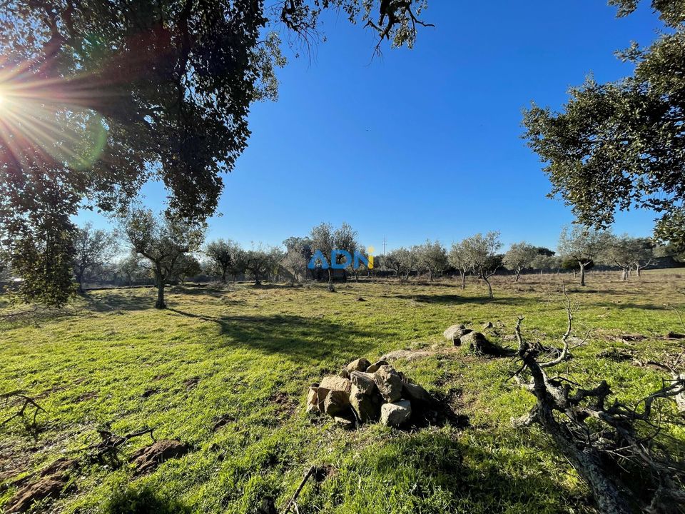 Masia a Alcains, Castelo Branco - foto 5