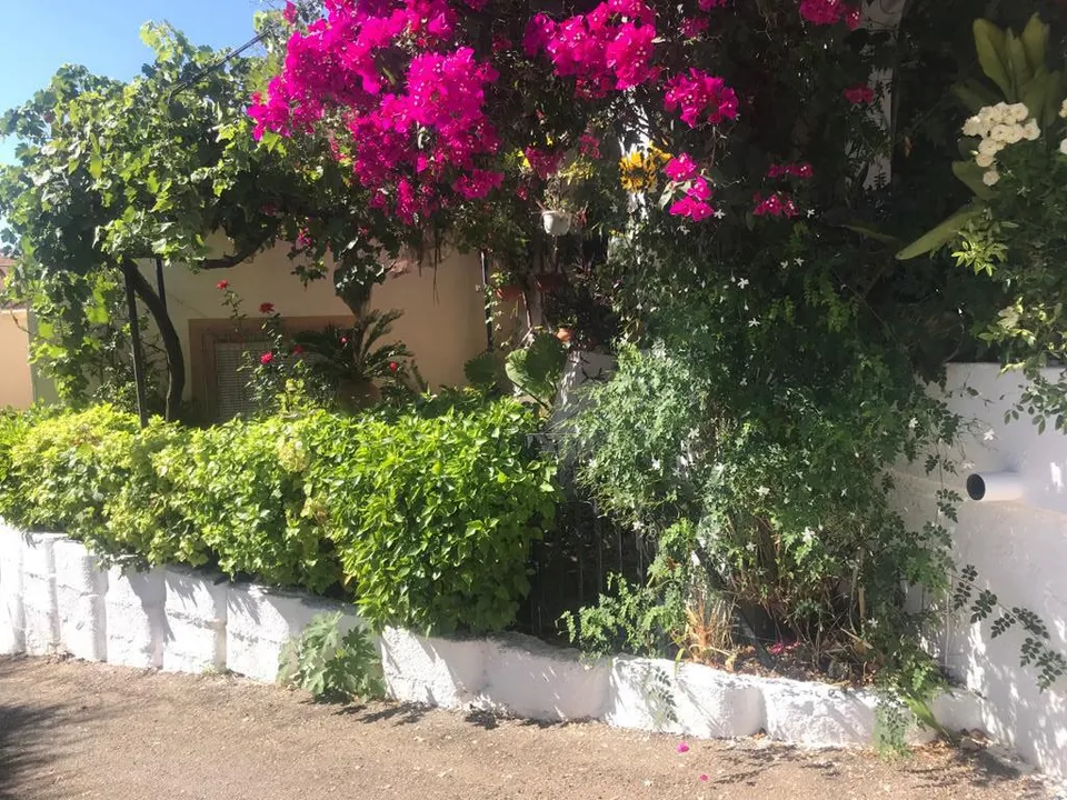 Landejendom i Los Gallardos, Almeria - foto 2