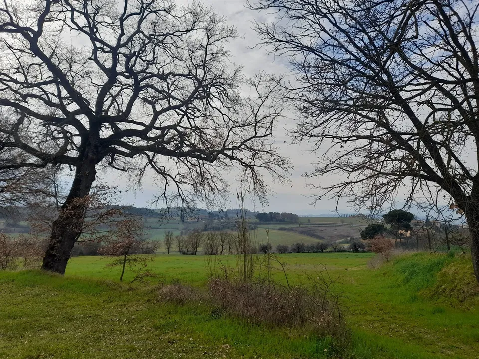 Helårsgrund i Castiglione del Lago, Perugia - foto 3