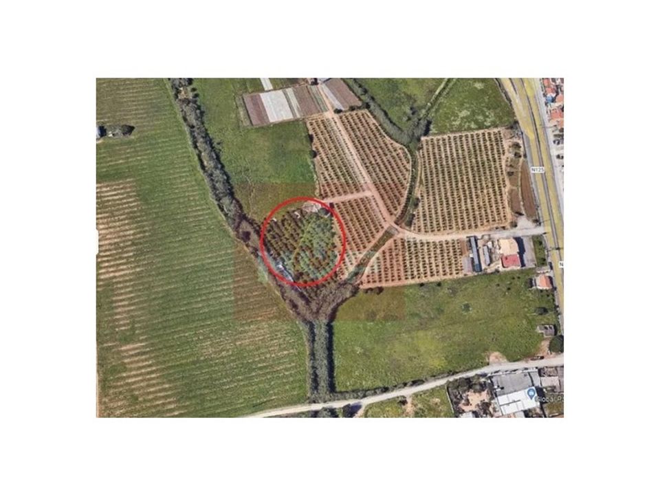 Granja a Faro, Faro - foto 2