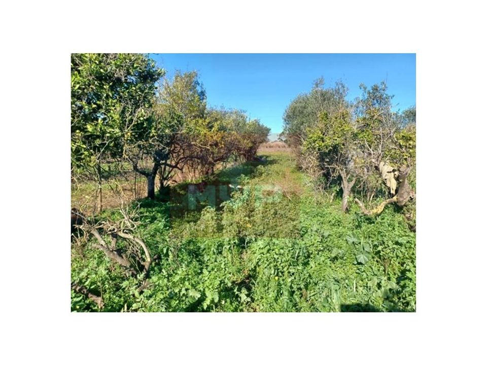 Granja a Faro, Faro - foto 3