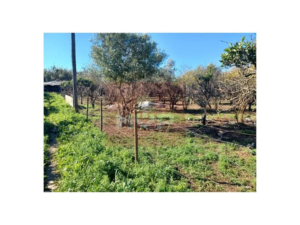 Granja a Faro, Faro - foto 4