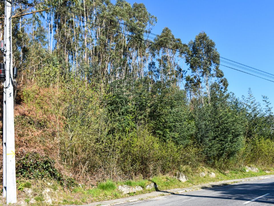 Helårsgrund i Vieira do Minho, Braga - foto 1
