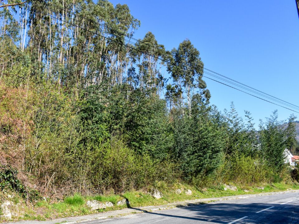 Helårsgrund i Vieira do Minho, Braga - foto 2
