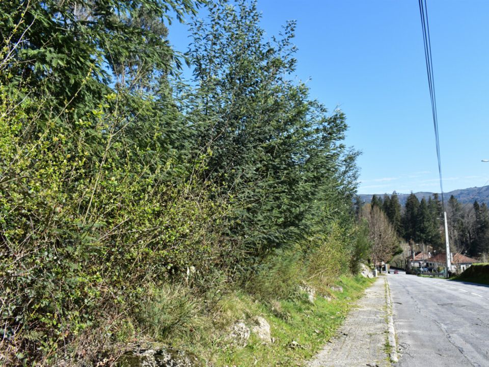 Helårsgrund i Vieira do Minho, Braga - foto 2