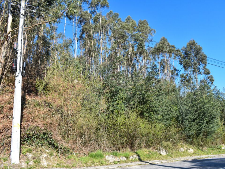 Helårsgrund i Vieira do Minho, Braga - foto 4