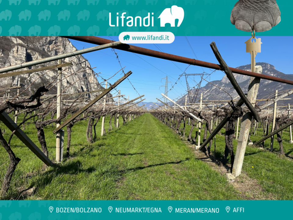 Tomt i Salorno sulla Strada del Vino, South Tyrol - bilde 1