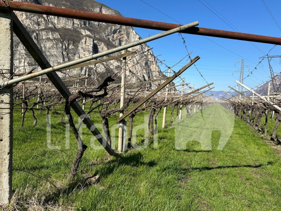 Tomt i Salorno sulla Strada del Vino, South Tyrol - bilde 2