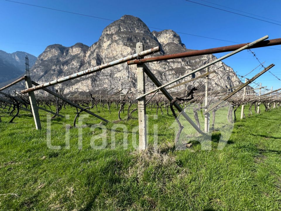 Tomt i Salorno sulla Strada del Vino, South Tyrol - bilde 3