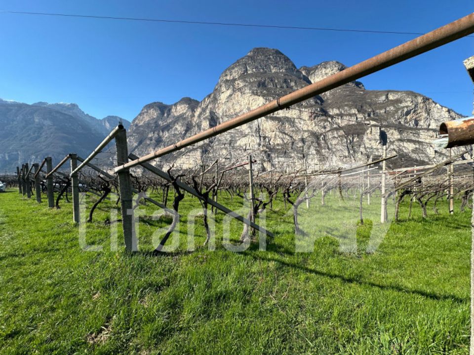 Tomt i Salorno sulla Strada del Vino, South Tyrol - bilde 4