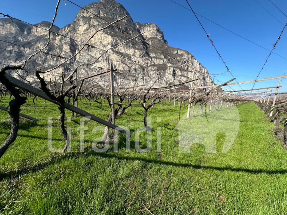 Tomt i Salorno sulla Strada del Vino, South Tyrol - bilde 5