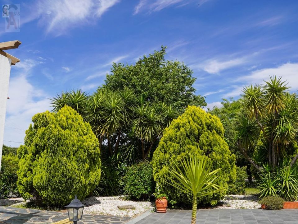Farm i Elvas, Portalegre - foto 3