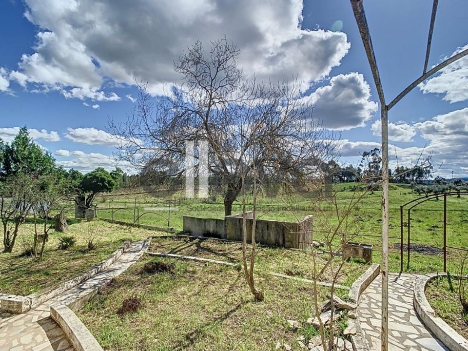 Villa i Castelo Branco, Castelo Branco - foto 4