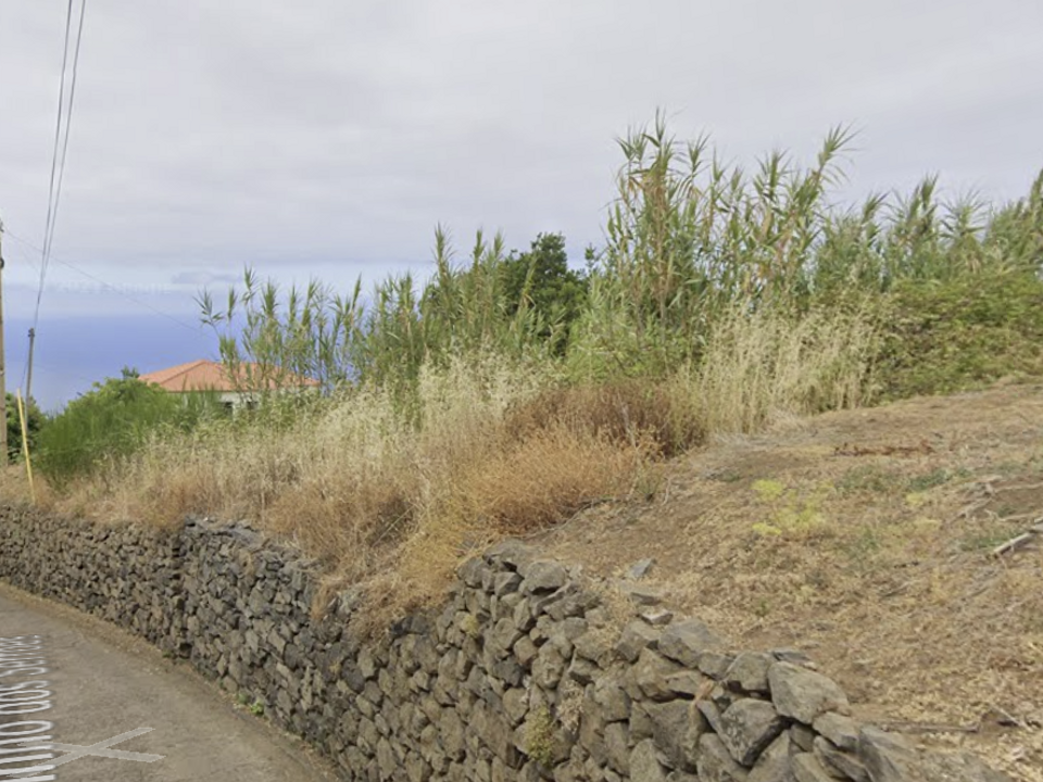 Helårsgrund i Calheta, Madeira - foto 4