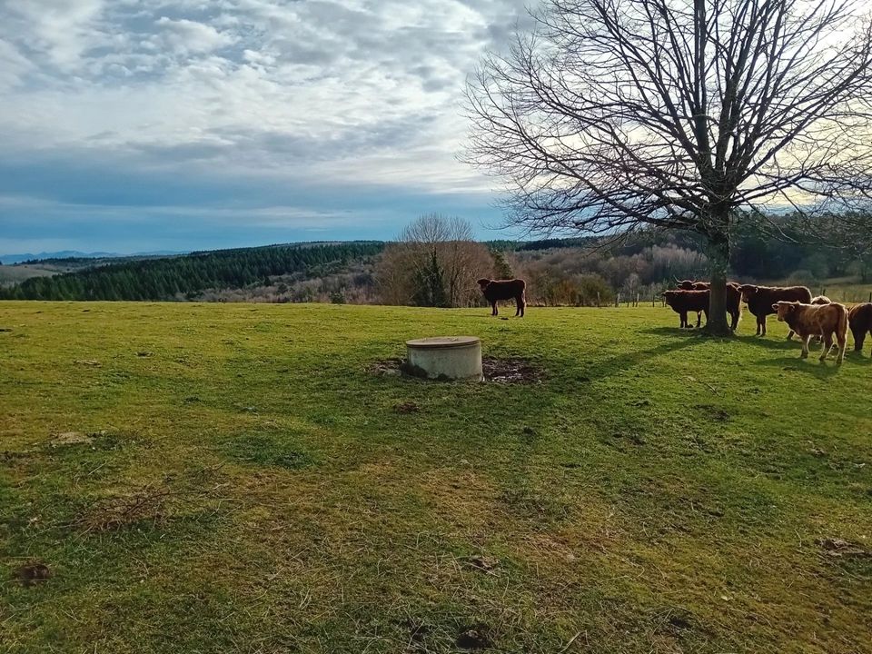 Villa i Aurillac, Cantal - foto 3