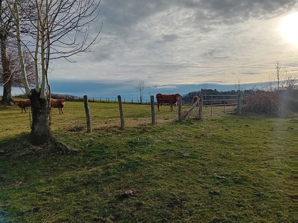 Villa i Aurillac, Cantal - foto 4