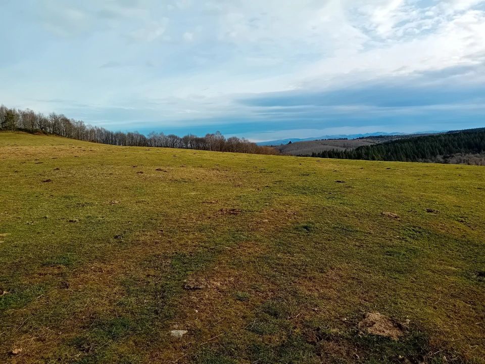 Villa i Aurillac, Cantal - foto 5