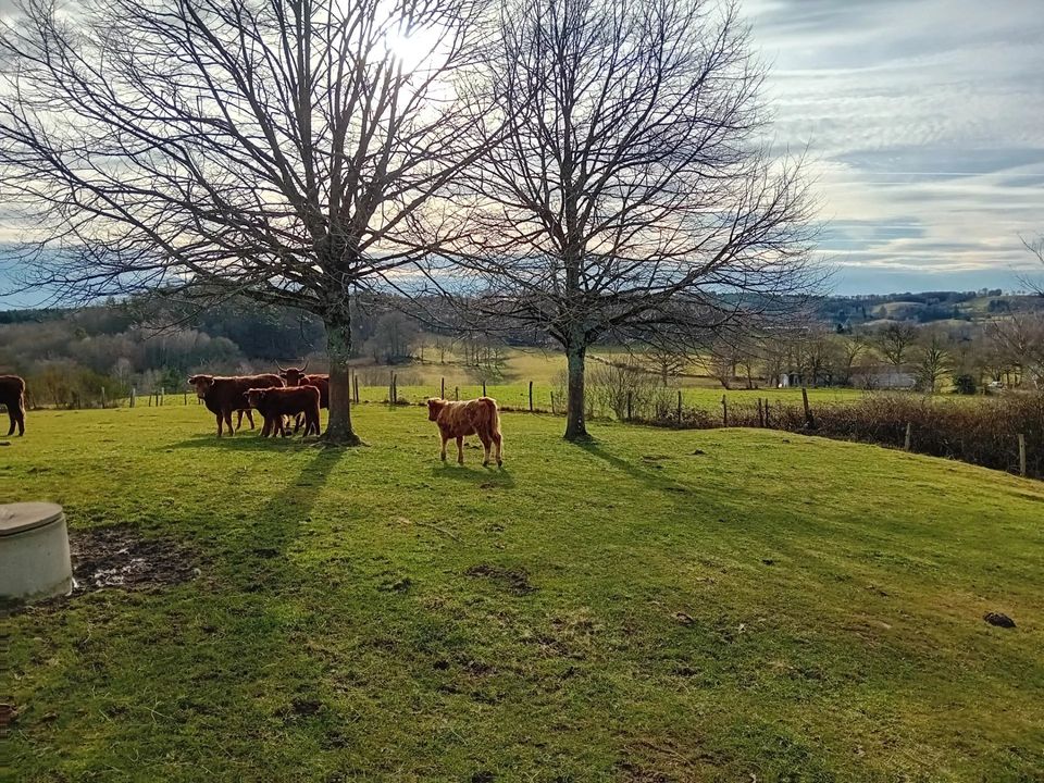 Villa i Aurillac, Cantal - foto 2