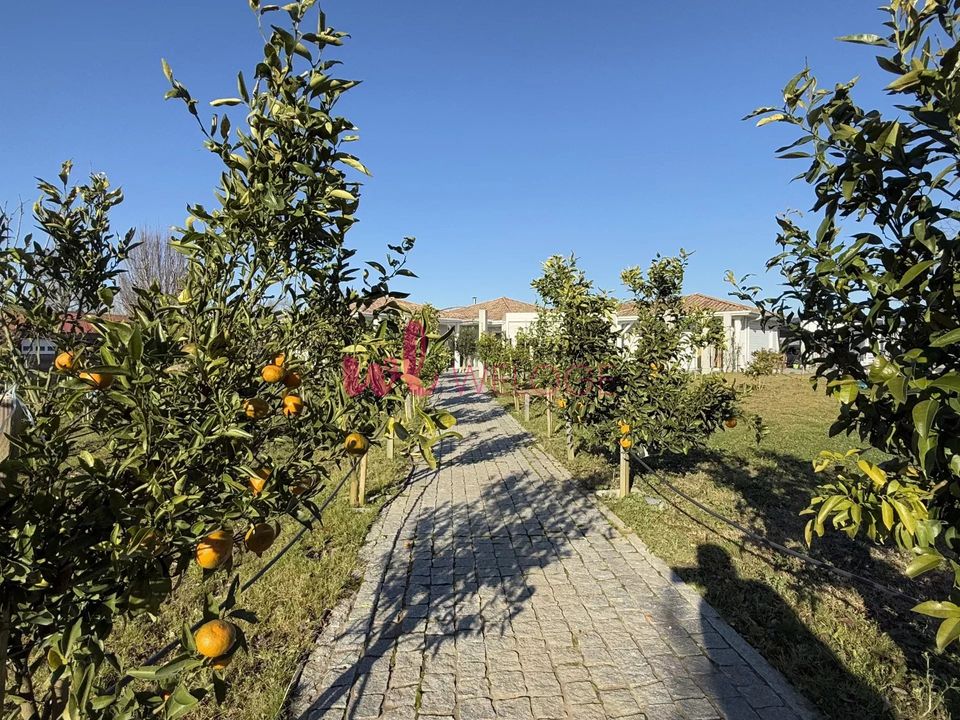 Villa i Heugas, Landes - foto 2
