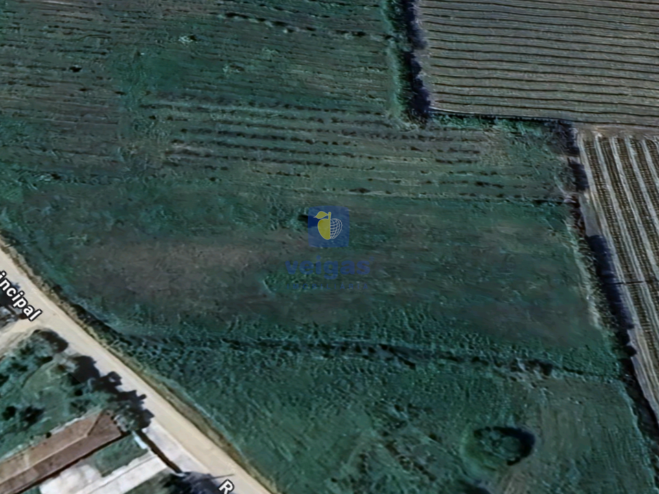 Helårsgrund i Bombarral, Leiria - foto 5