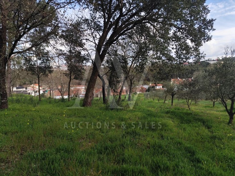 Helårsgrund i Parceiros e Azoia, Leiria - foto 1