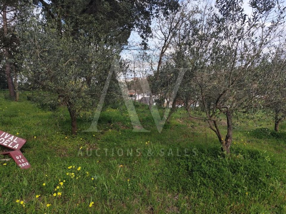Helårsgrund i Parceiros e Azoia, Leiria - foto 4