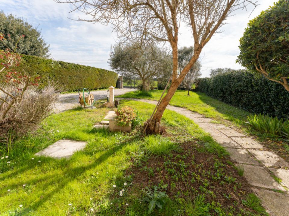 Villa i Codevigo, Padua - foto 2