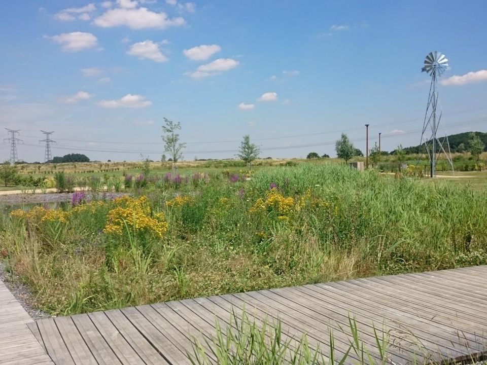 Helårsgrund i Bailleul-sur-Thérain, Oise - foto 3