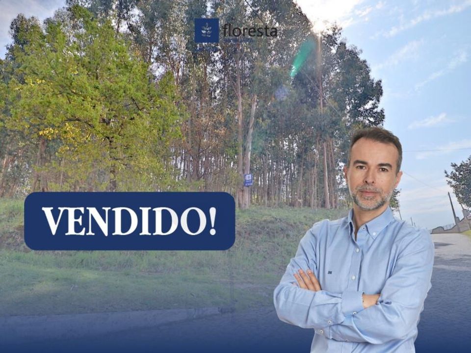 Helårsgrund i Braga, Braga - foto 1