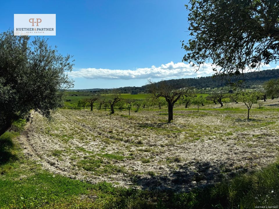 Helårsgrund i Montuiri, Mallorca - foto 4