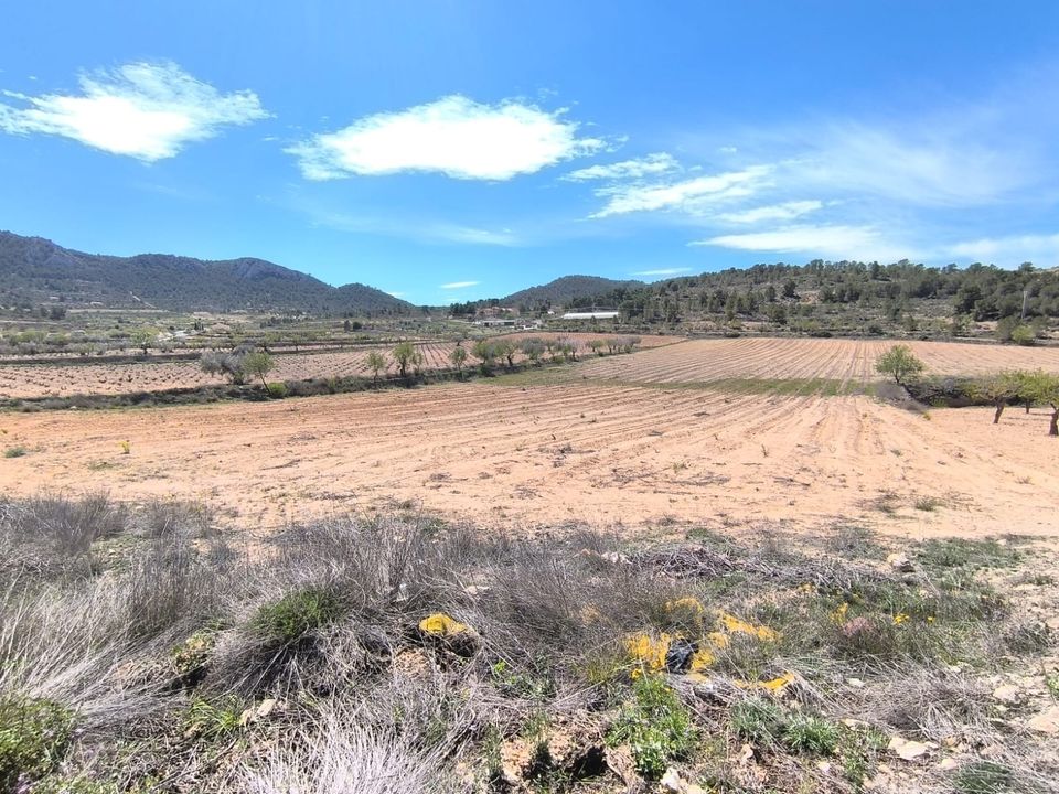 Helårsgrund i La Zarza, Murcia - foto 1