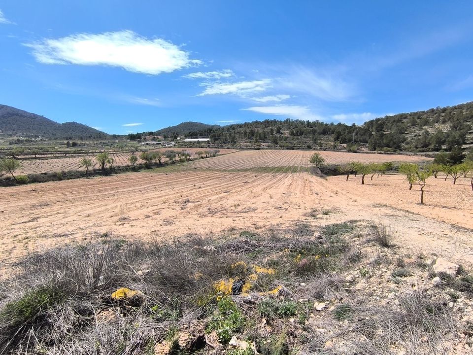 Helårsgrund i La Zarza, Murcia - foto 3
