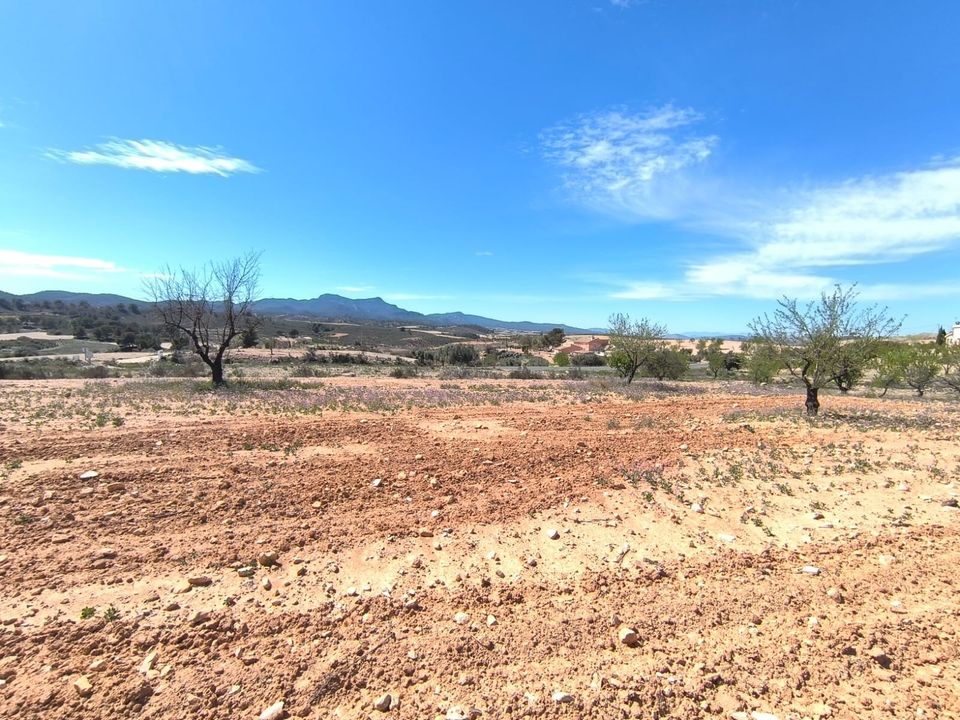 Tomt i Jumilla, Murcia - bilde 1