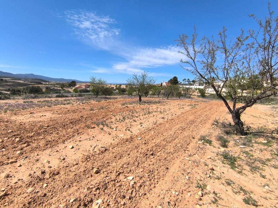 Tomt i Jumilla, Murcia - bilde 2