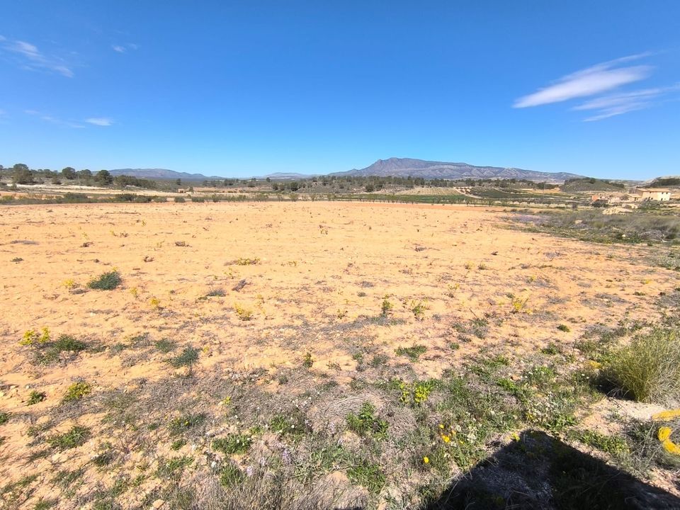 Helårsgrund i La Zarza, Murcia - foto 1